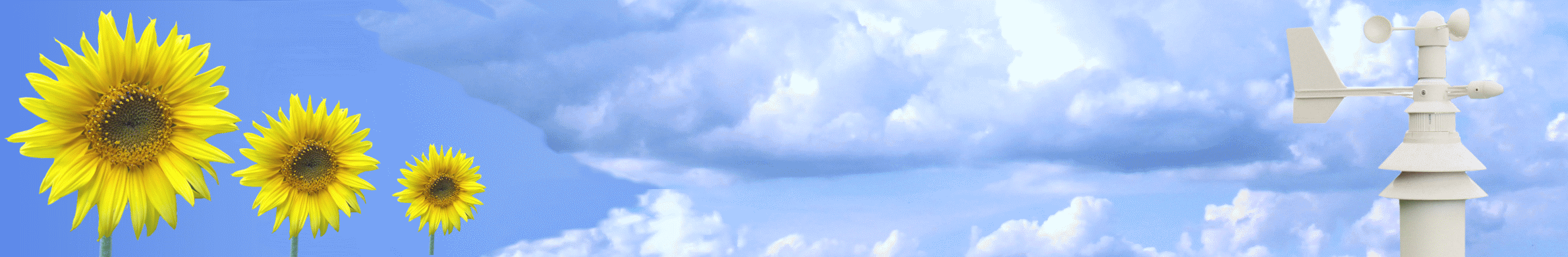 freeWeather